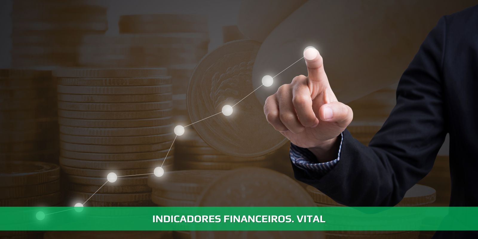 Figura 4 - INDICADORES FINANCEIROS. A BASE DO CONTROLE